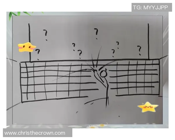 武汉排球队快攻战术深度解析与实战应用探讨